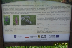 arboretum-wojslawice-2023_125
