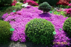 arboretum-wojslawice-2023_130