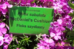 arboretum-wojslawice-2023_132