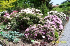 arboretum-wojslawice-2023_141