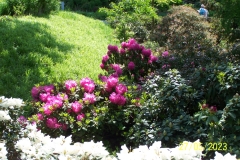 arboretum-wojslawice-2023_143