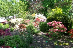 arboretum-wojslawice-2023_144