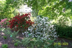 arboretum-wojslawice-2023_145
