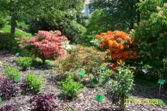 arboretum-wojslawice-2023_146
