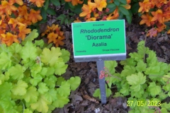 arboretum-wojslawice-2023_148