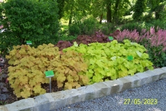 arboretum-wojslawice-2023_149