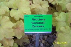 arboretum-wojslawice-2023_150