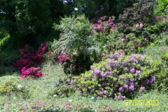 arboretum-wojslawice-2023_153
