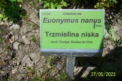 arboretum-wojslawice-2023_155