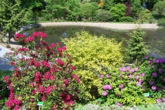 arboretum-wojslawice-2023_156
