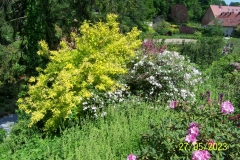 arboretum-wojslawice-2023_157