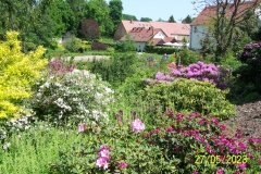 arboretum-wojslawice-2023_158