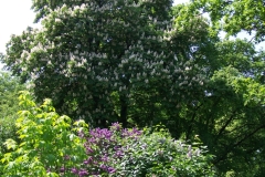 arboretum-wojslawice-2023_159