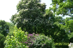arboretum-wojslawice-2023_160