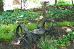 arboretum-wojslawice-2023_172