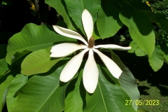 arboretum-wojslawice-2023_174