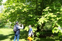 arboretum-wojslawice-2023_175