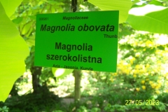 arboretum-wojslawice-2023_176