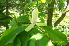 arboretum-wojslawice-2023_177
