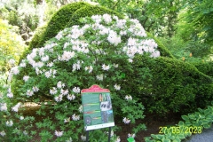 arboretum-wojslawice-2023_178
