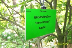 arboretum-wojslawice-2023_179