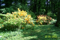 arboretum-wojslawice-2023_180