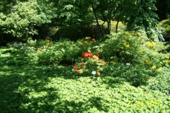 arboretum-wojslawice-2023_181