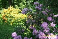 arboretum-wojslawice-2023_182