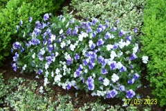 arboretum-wojslawice-2023_185