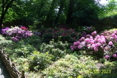 arboretum-wojslawice-2023_187
