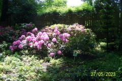 arboretum-wojslawice-2023_188