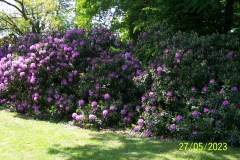 arboretum-wojslawice-2023_189
