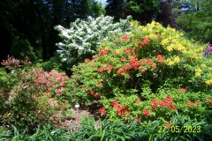 arboretum-wojslawice-2023_190