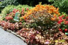 arboretum-wojslawice-2023_191