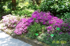 arboretum-wojslawice-2023_195