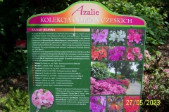 arboretum-wojslawice-2023_196