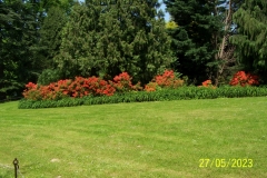 arboretum-wojslawice-2023_198