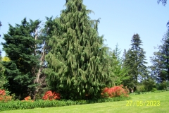 arboretum-wojslawice-2023_199