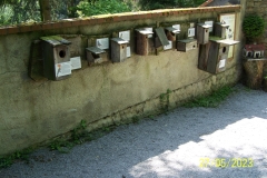 arboretum-wojslawice-2023_201