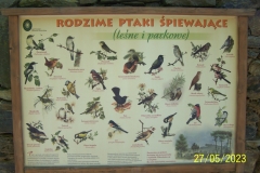 arboretum-wojslawice-2023_203