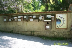 arboretum-wojslawice-2023_206