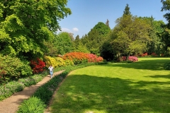 arboretum-wojslawice-2023_207
