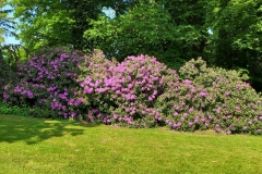 arboretum-wojslawice-2023_209