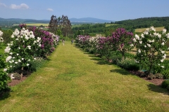arboretum-wojslawice-2023_212
