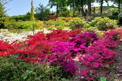 arboretum-wojslawice-2023_219