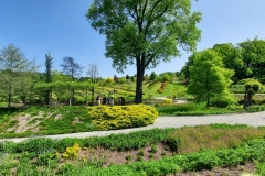 arboretum-wojslawice-2023_223