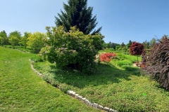 arboretum-wojslawice-2023_224