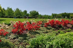 arboretum-wojslawice-2023_225