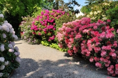 arboretum-wojslawice-2023_226