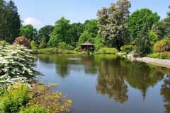 arboretum-wojslawice-2023_227